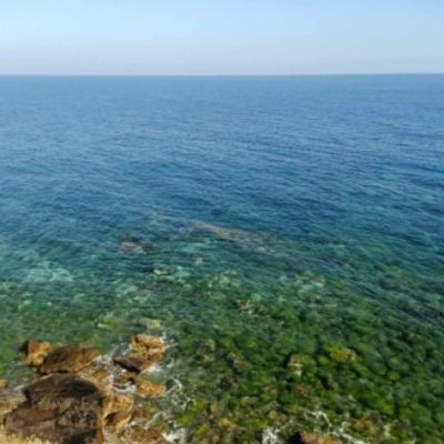 duplextipaza (6)
